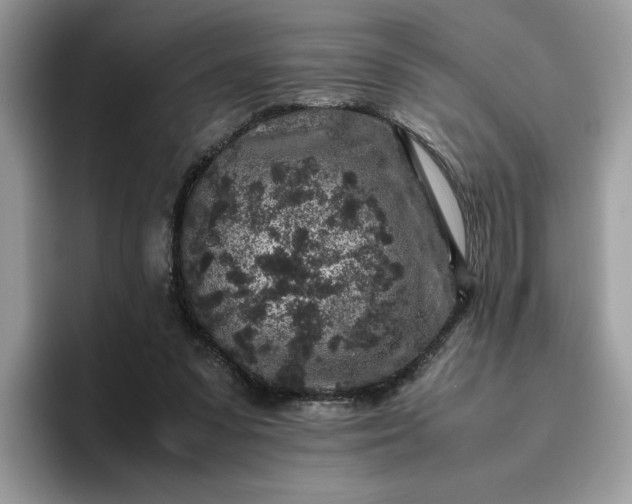 X0000095950303200801251135