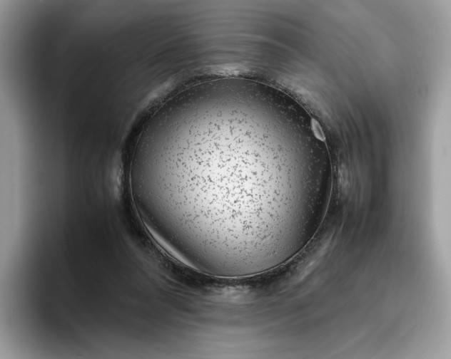 X0000095950304200801251135