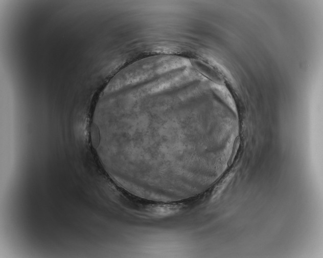 X0000095950305200801251135