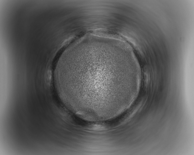 X0000095950308200801251135