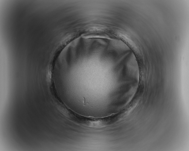 X0000095950309200801251135