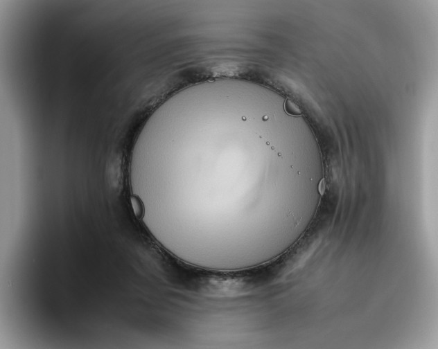 X0000095950311200801251135