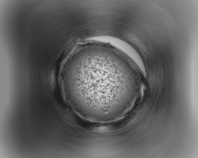 X0000095950312200801251135