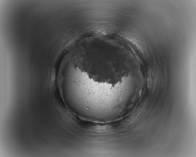 X0000095950314200801251135