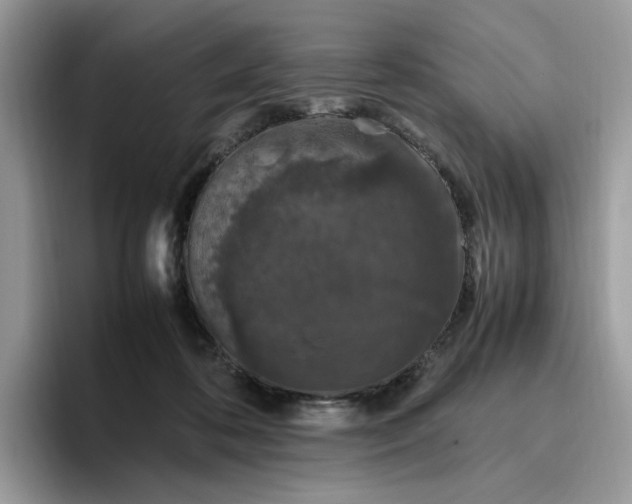 X0000095950316200801251135