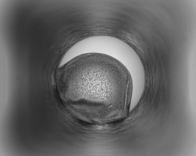 X0000095950317200801251135