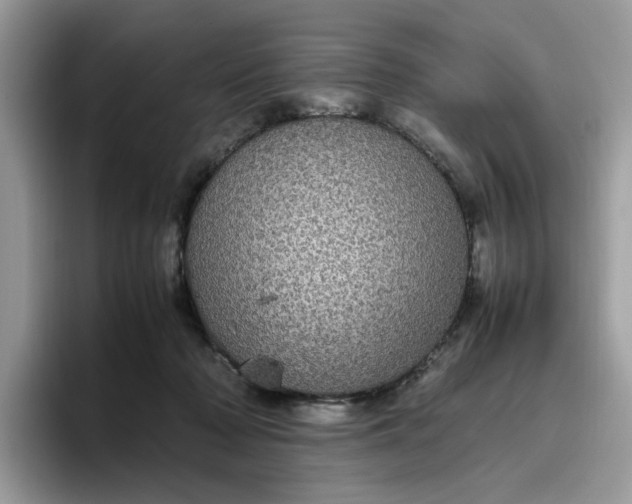 X0000095950318200801251135