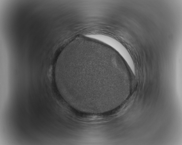 X0000095950319200801251135