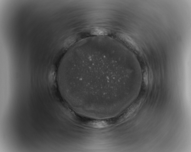 X0000095950322200801251135