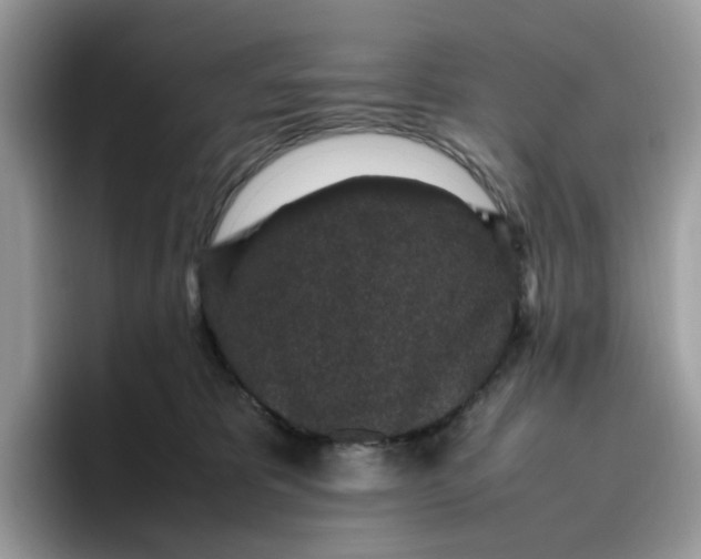 X0000095950325200801251135