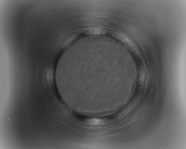 X0000095950326200801251135