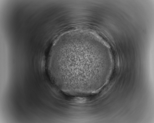 X0000095950328200801251135