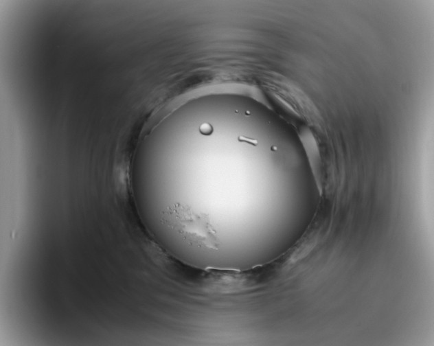 X0000095950329200801251135