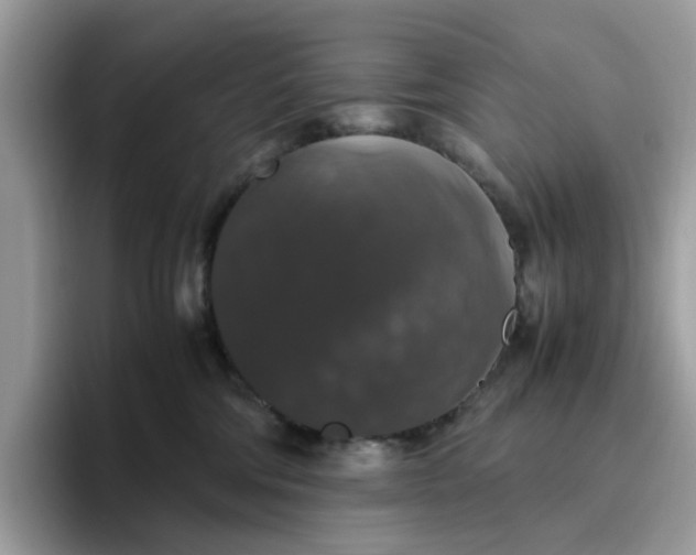 X0000095950330200801251135