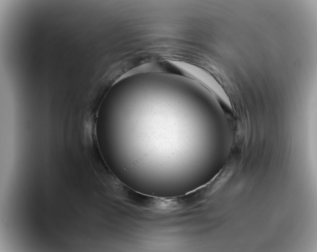 X0000095950333200801251135