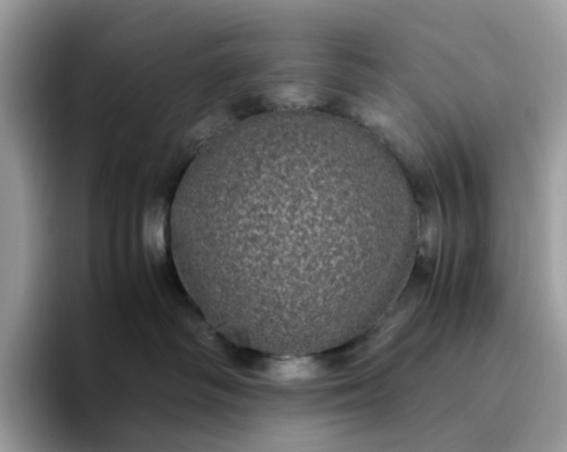 X0000095950334200801251135