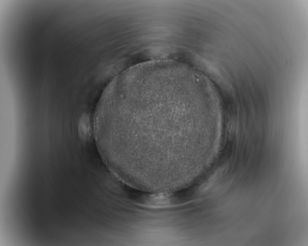 X0000095950335200801251135