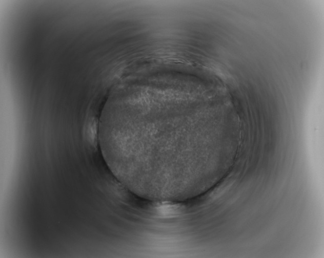 X0000095950336200801251135