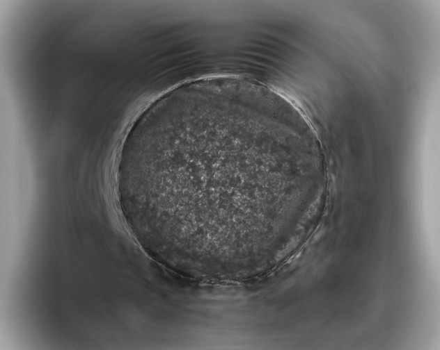 X0000095950337200801251134