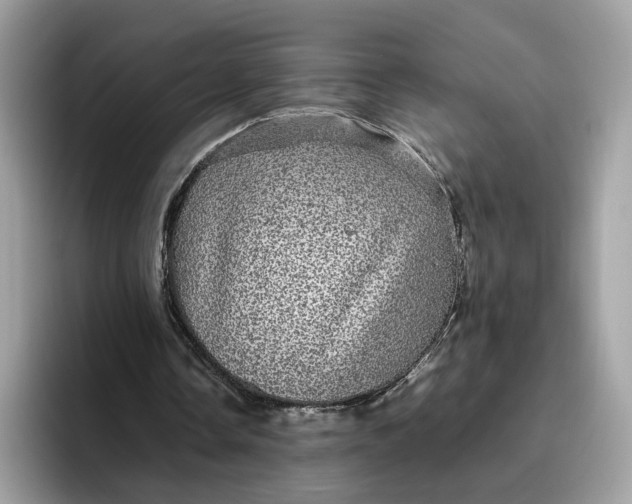 X0000095950338200801251134