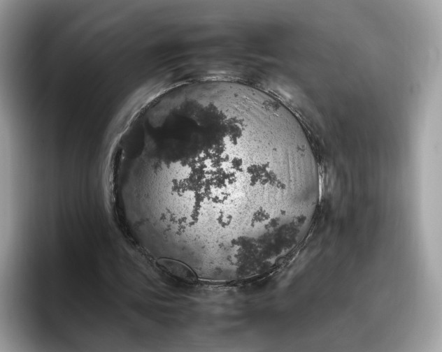 X0000095950339200801251134