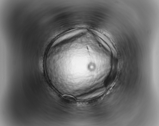 X0000095950345200801251134