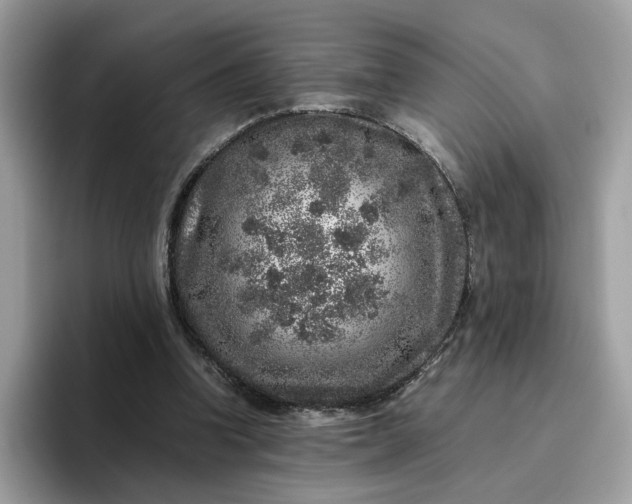 X0000095950346200801251134