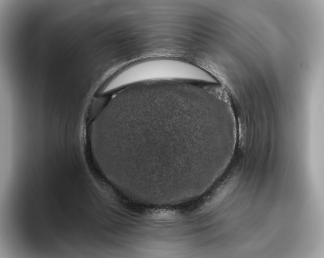 X0000095950348200801251134