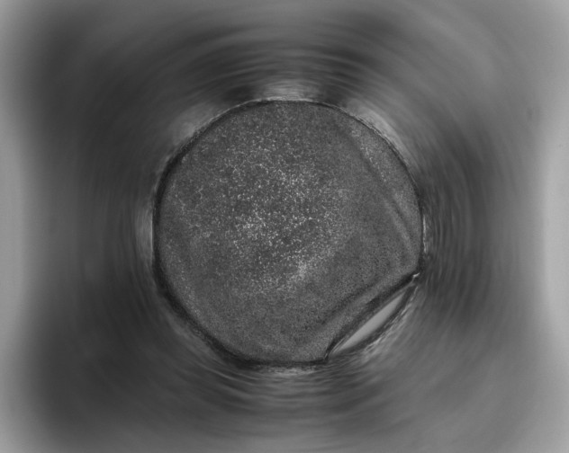 X0000095950349200801251134