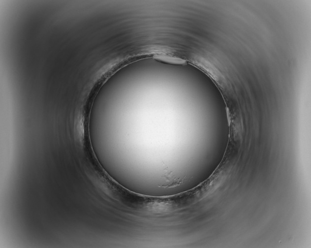 X0000095950350200801251134