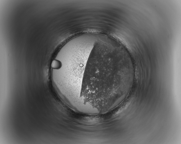 X0000095950351200801251134