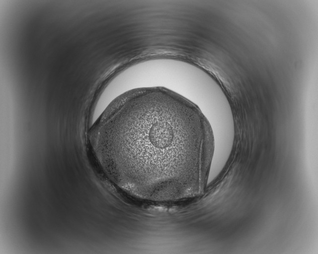 X0000095950352200801251134