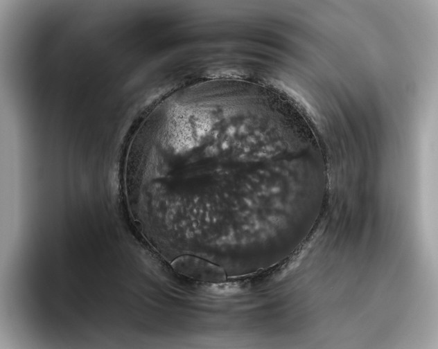 X0000095950353200801251134