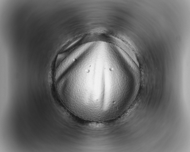 X0000095950354200801251134