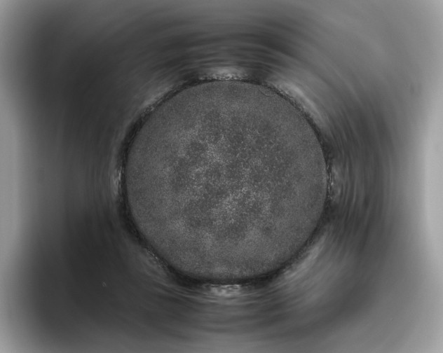 X0000095950355200801251134