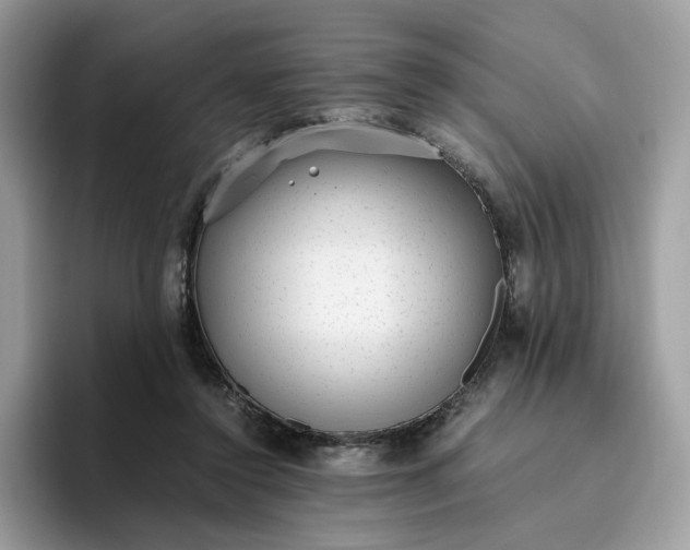 X0000095950356200801251134