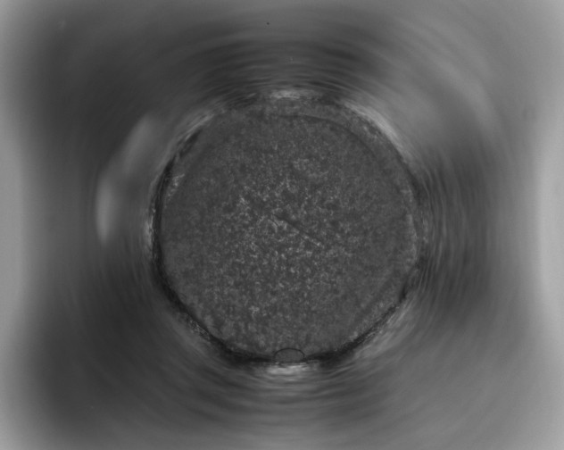 X0000095950357200801251134