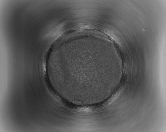 X0000095950358200801251134