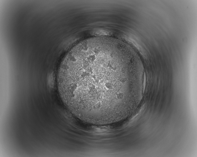 X0000095950359200801251134