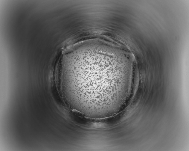 X0000095950360200801251134