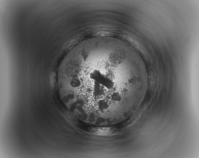 X0000095950361200801251135