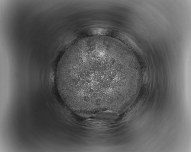 X0000095950363200801251135