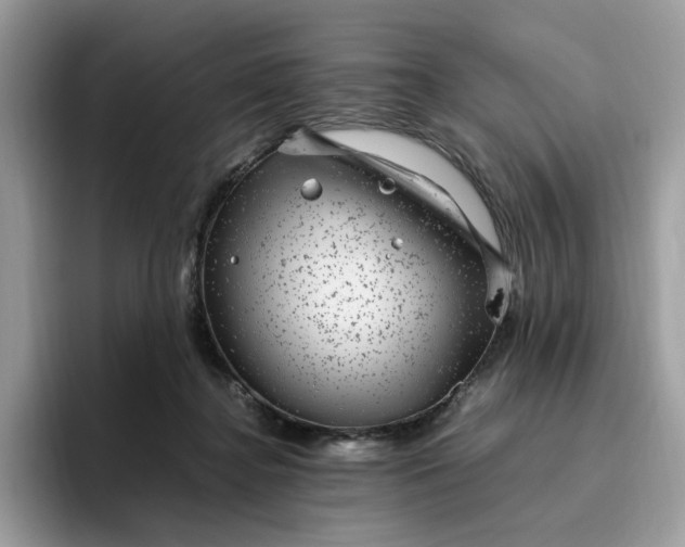 X0000095950364200801251135