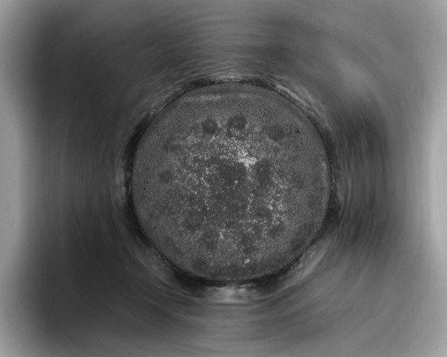 X0000095950366200801251135