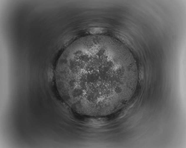 X0000095950367200801251135