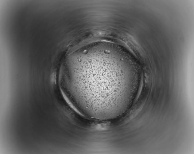 X0000095950368200801251135