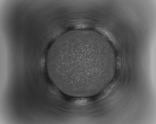 X0000095950369200801251135