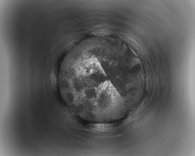 X0000095950371200801251135