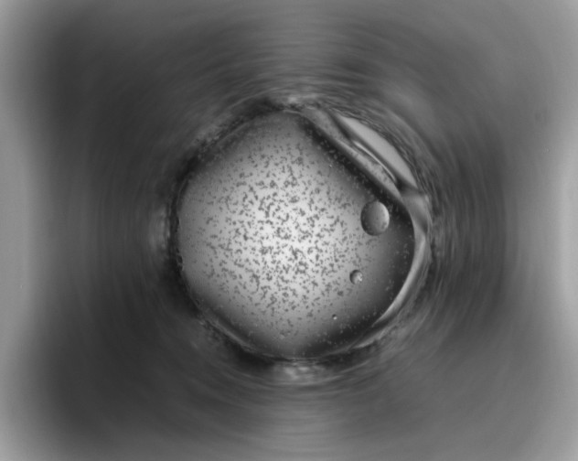 X0000095950372200801251135