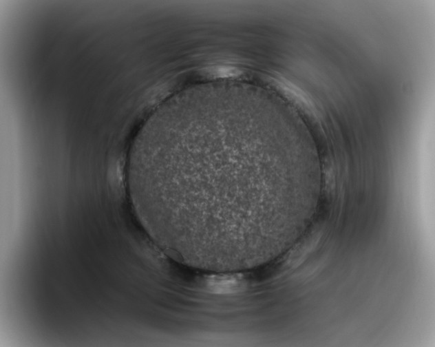 X0000095950373200801251135